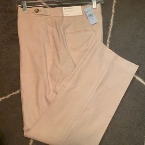 Ann Taylor Dress Pants